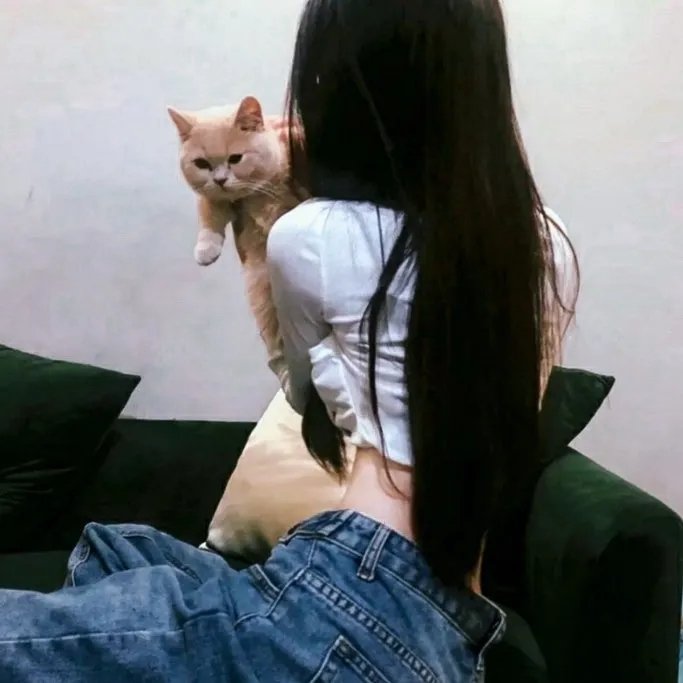 良医第四季