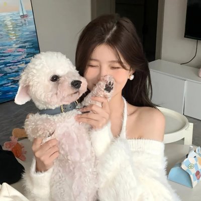 傻瓜拳击手